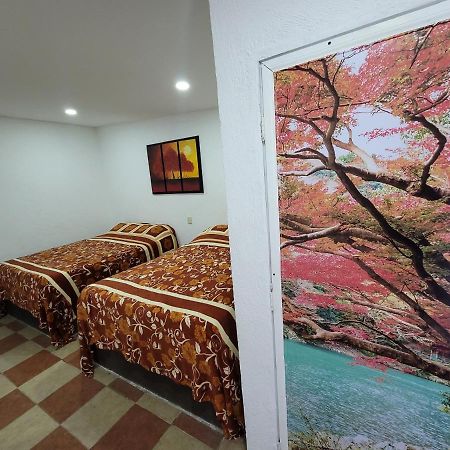 Hotel Vicalis San Juan Teotihuacan Ngoại thất bức ảnh