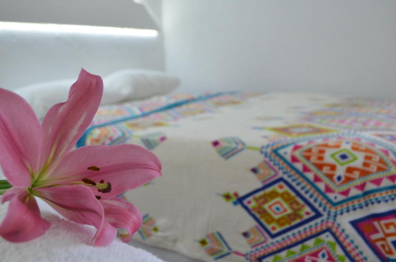Hotel Vicalis San Juan Teotihuacan Ngoại thất bức ảnh